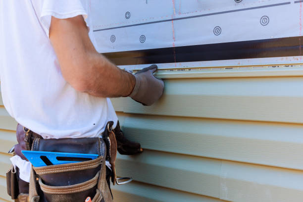 Best Custom Siding Design  in Eyota, MN